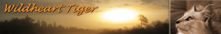 http://magic-tigers.at/images/Banner-wildheart-tiger.png
